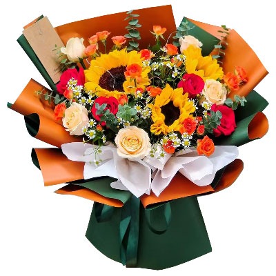 ���ݲ����ػ���